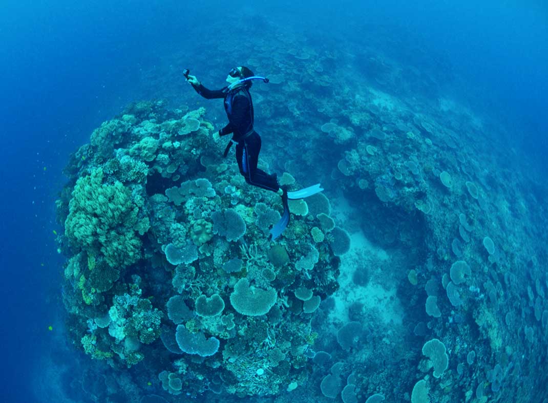 Freediving with liquidstate freediving in Savusavu Fiji